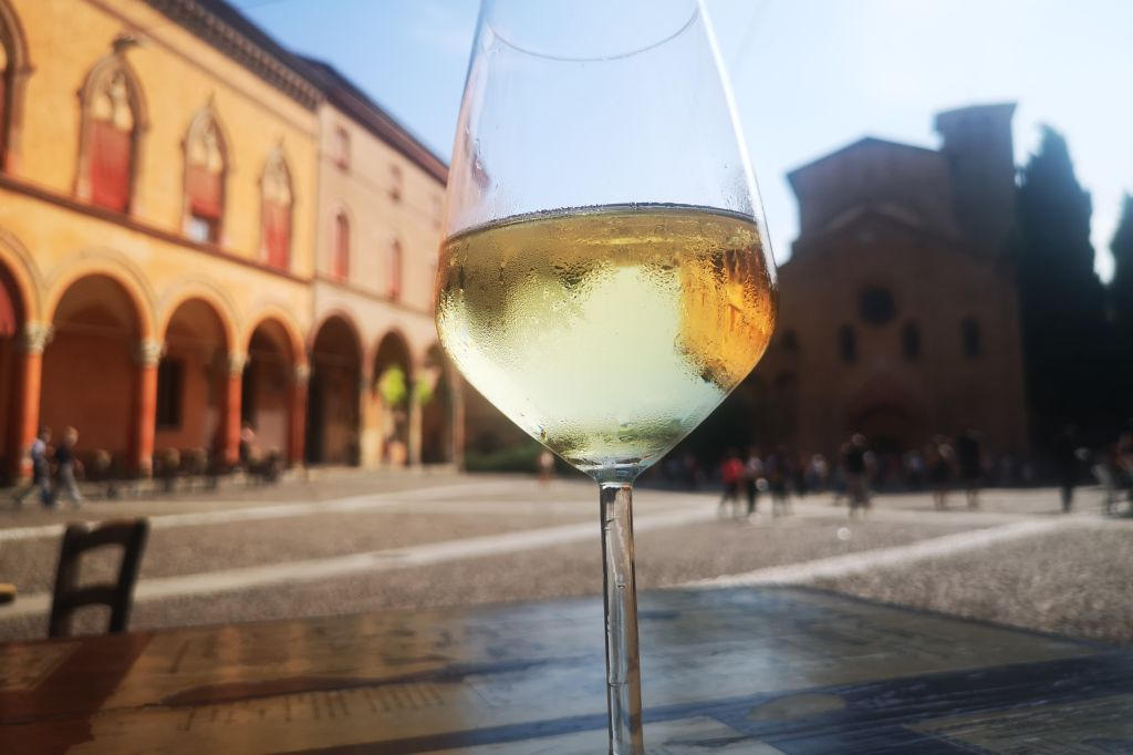 Bologna: Tour del vino
