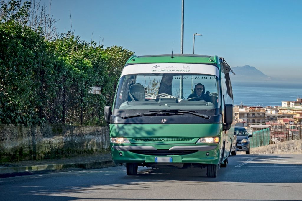Vesuvius and Pompeii: Full-Day Tour from Rome