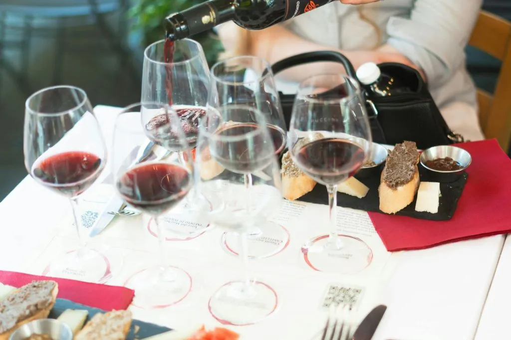 Pisa: Tour guidato della città e degustazione di vini