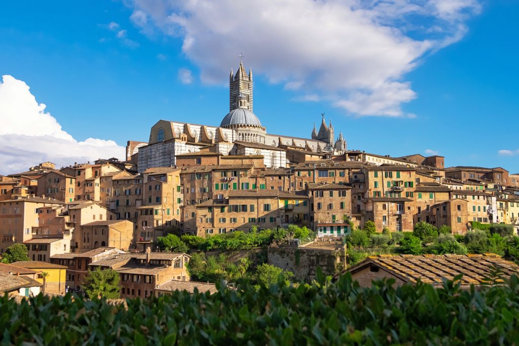 San Gimignano, Siena, Monteriggioni y Chianti: Visita + Comida + Degustación de vinos