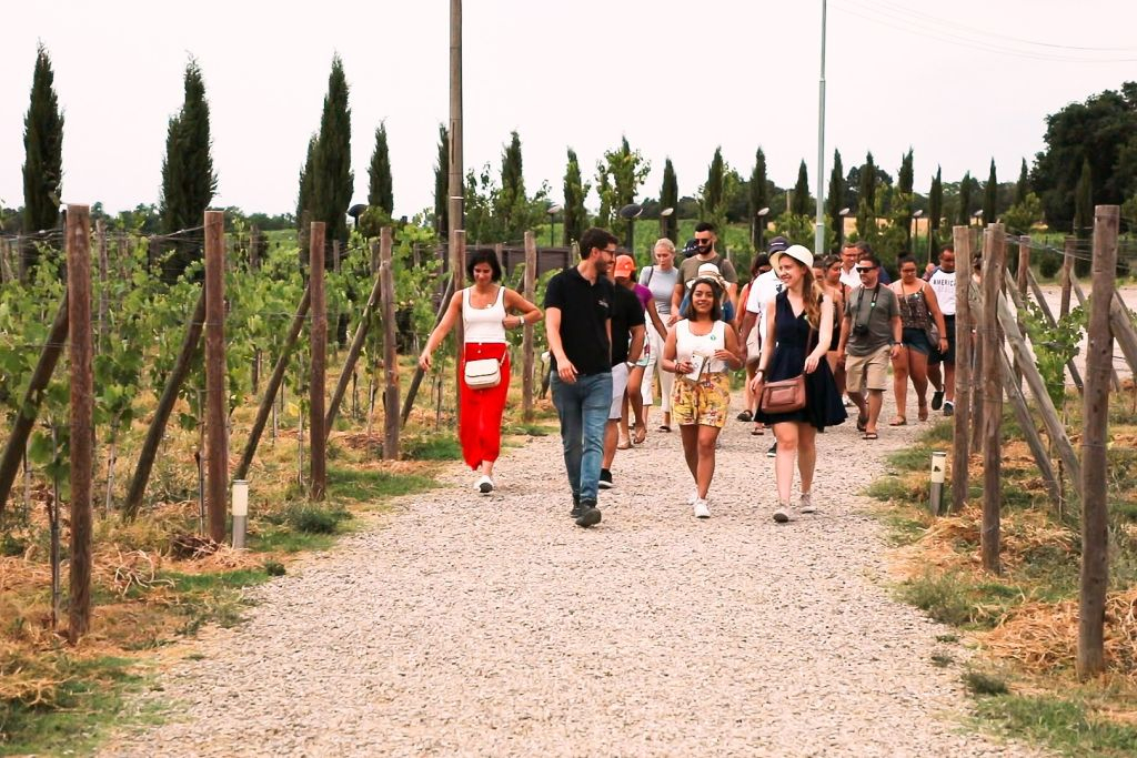 San Gimignano, Siena, Monteriggioni & Chianti: Tour + Lunch + Wine Tasting