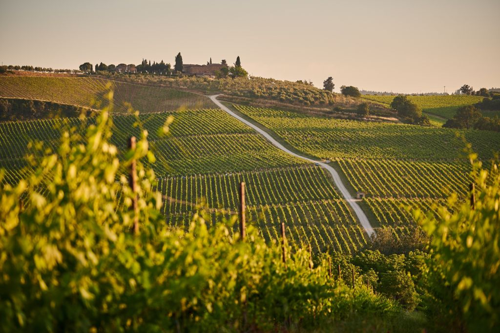 San Gimignano, Siena, Monteriggioni & Chianti: Tour + Lunch + Wine Tasting