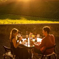 Siena: Mocenni Premium Wine, Oil and Food Tasting at Tuscany Vineyard