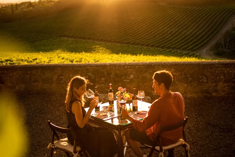 Siena: Mocenni Premium Wine, Oil and Food Tasting at Tuscany Vineyard