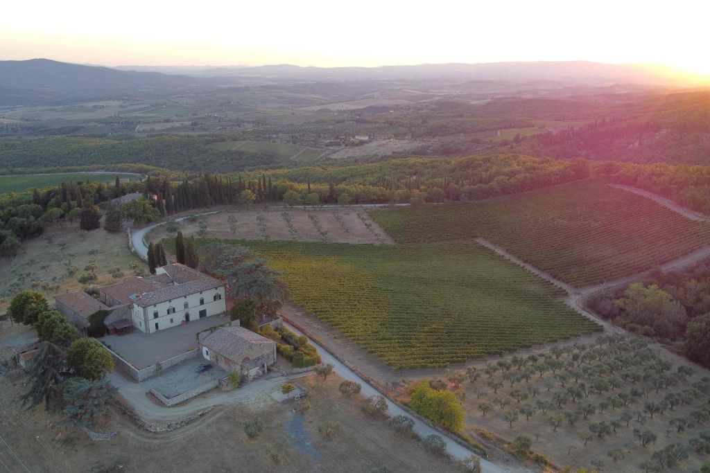 Sienne : Dégustation de vin, d'huile et de nourriture Mocenni Premium dans un vignoble de Toscane