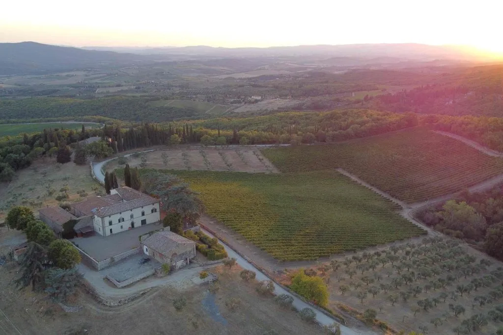 Siena: Mocenni Premium Wine, Oil and Food Tasting at Tuscany Vineyard