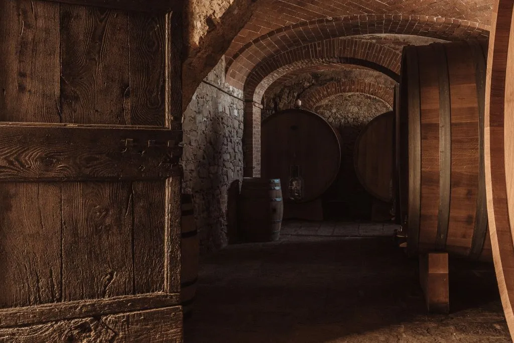 Siena: Mocenni Premium Wine, Oil and Food Tasting at Tuscany Vineyard
