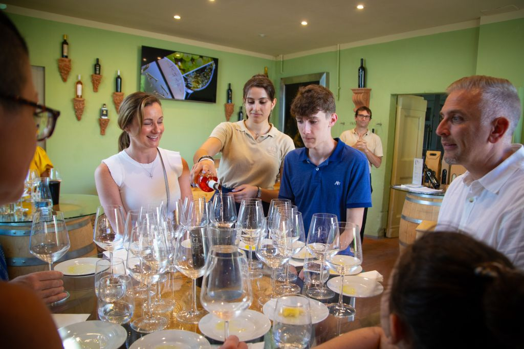 Experiência VIP de produção de vinho e jantar gourmet em uma vinícola boutique na Toscana