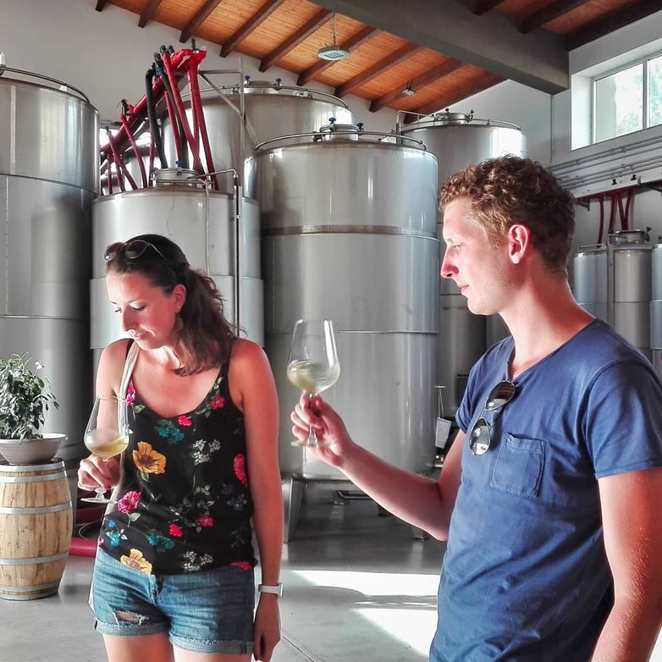 Wine Tasting in Alcamo, Sicily