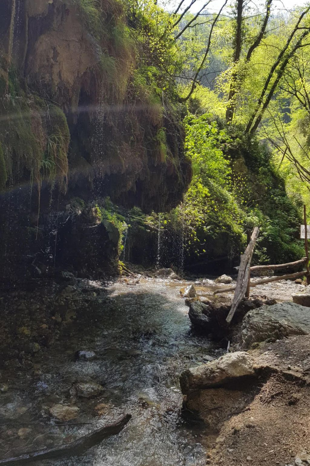 Ferriere Waterfalls: Guided Tour from Amalfi