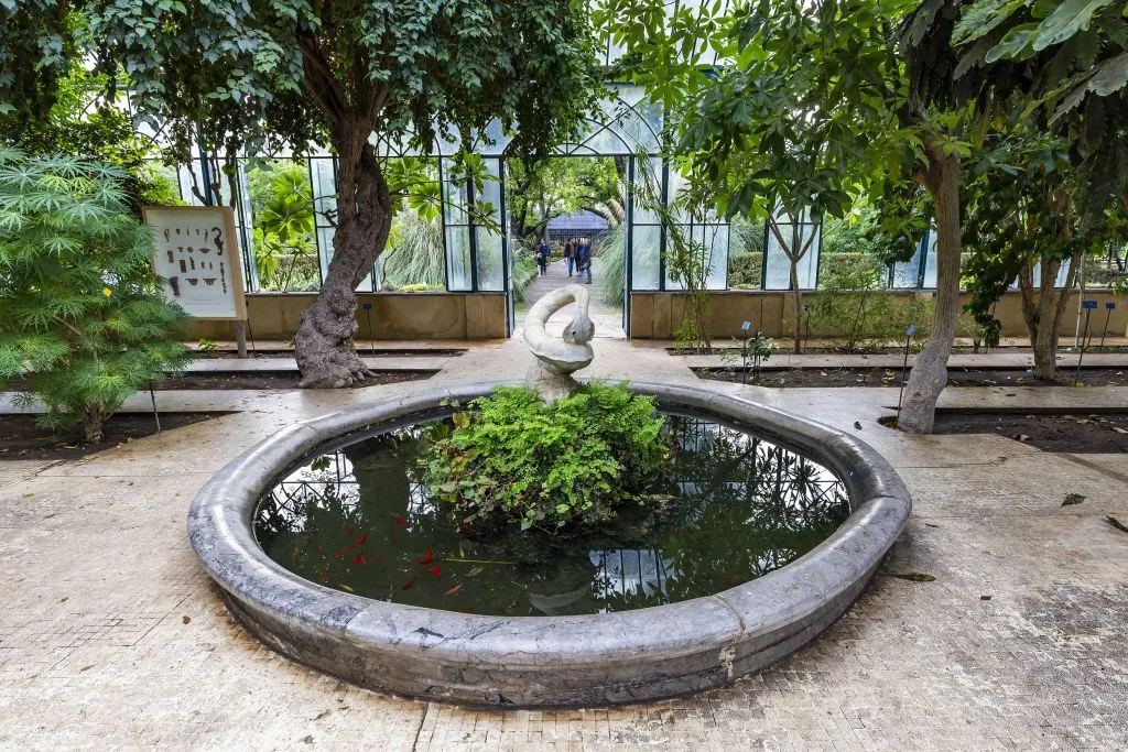 Palermo Botanical Garden: Entry + PemCards Postcard