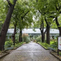Palermo Botanical Garden: Entry + PemCards Postcard