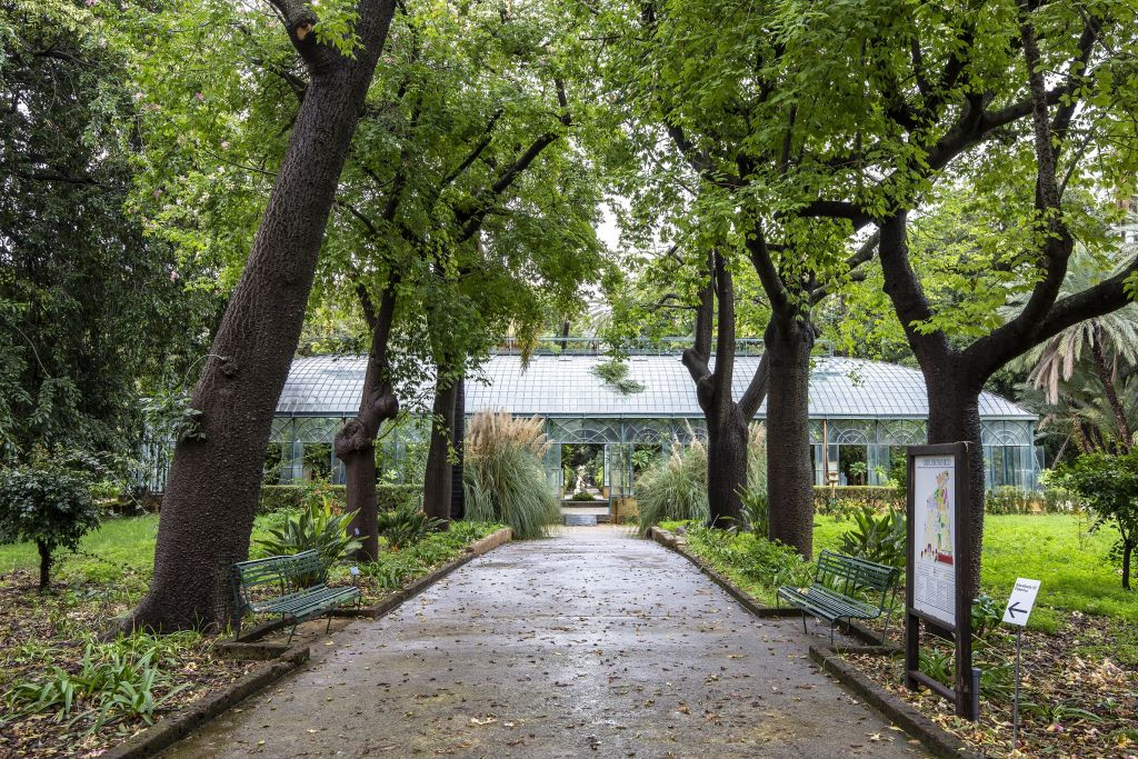 Orto Botanico di Palermo: Ingresso + Cartolina PemCards