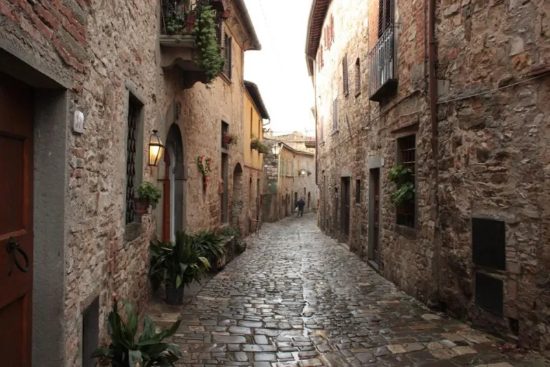 Chianti & San Gimignano Roundtrip From Florence: Vineyard Wine Tasting + Lunch