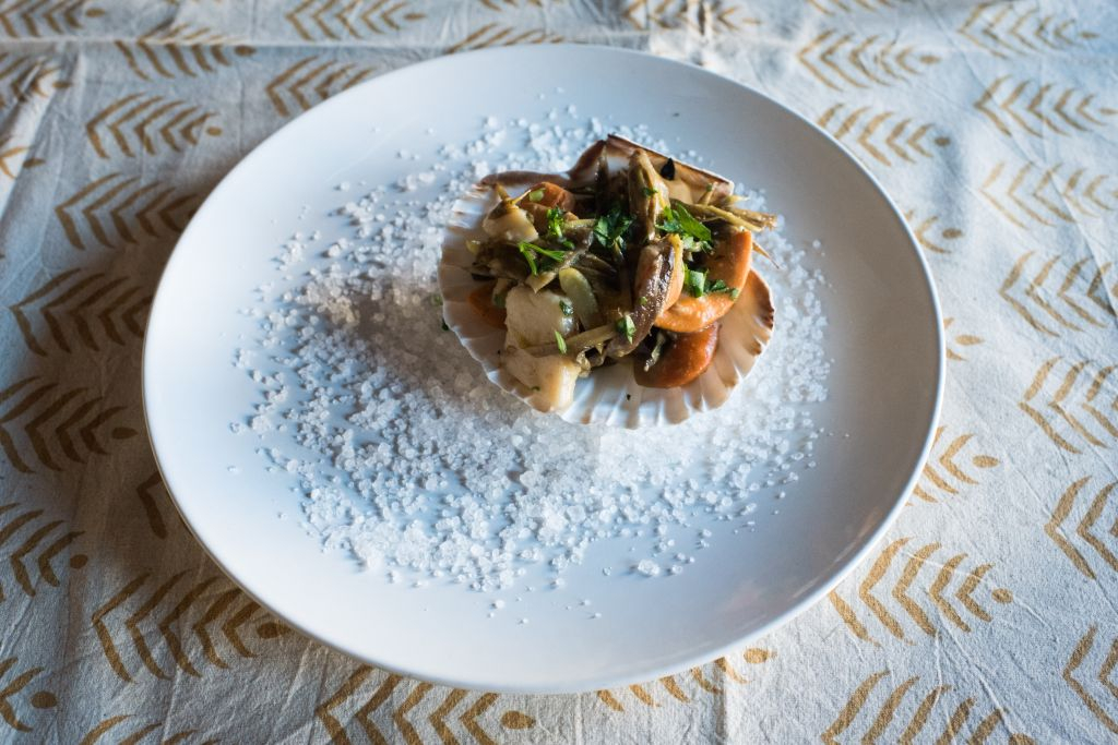 Venice: Market Tour and Dining Experience at a Local’s Home