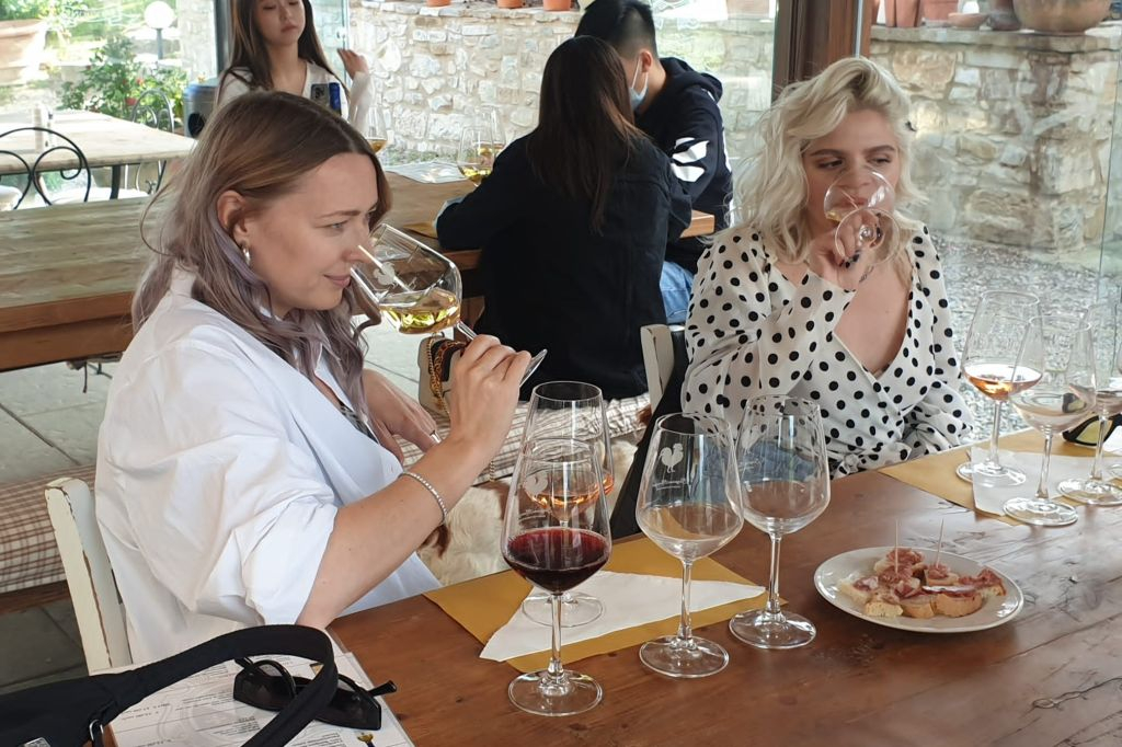 Firenze: Degustazioni di vino e tour in minivan
