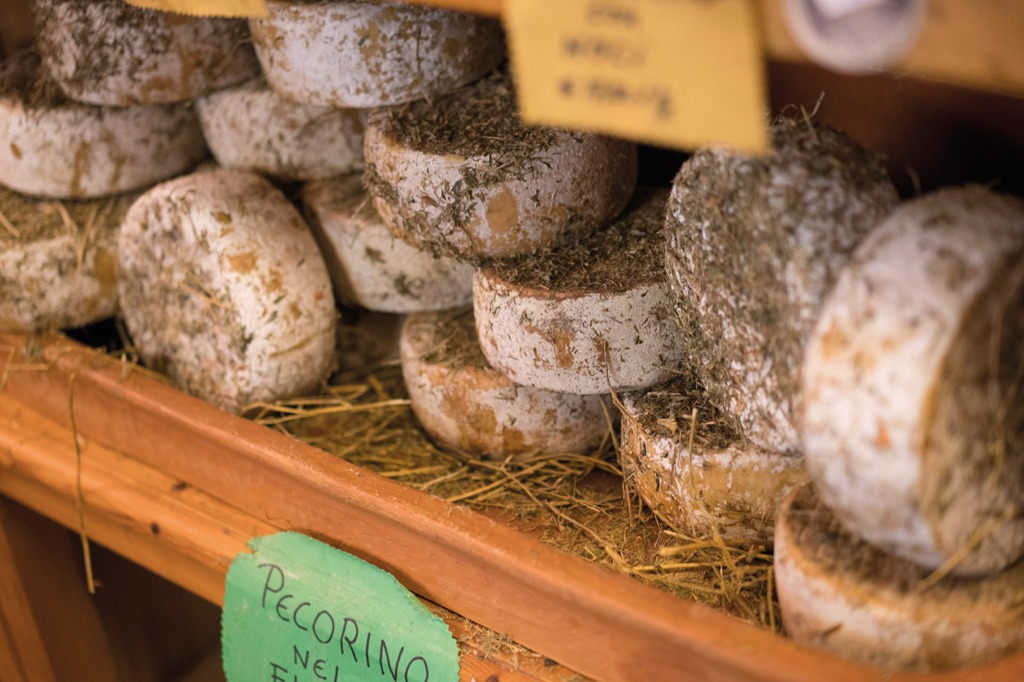 Pienza et Montepulciano : Excursion œnologique d'une journée au départ de Florence