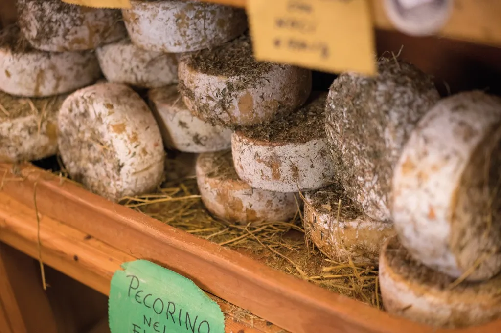 Pienza & Montepulciano: Day Trip from Florence + Montalcino Wine Tasting