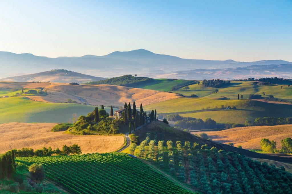 Pienza e Montepulciano: Excursão de um dia inteiro ao vinho saindo de Florença