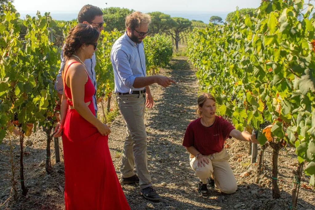 Degustazione di vini e visita alla cantina dell'autore