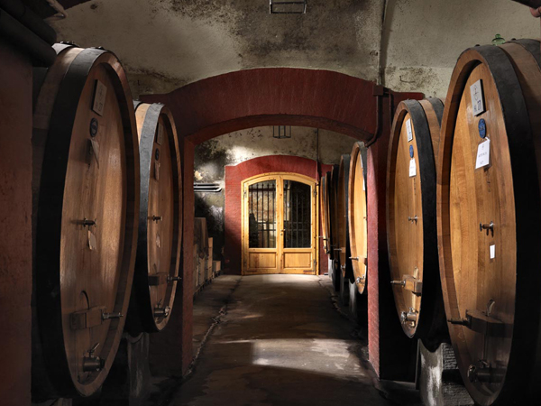 Chianti Region: Day Trip from Florence + Off-Road Tuscany Wine Tour