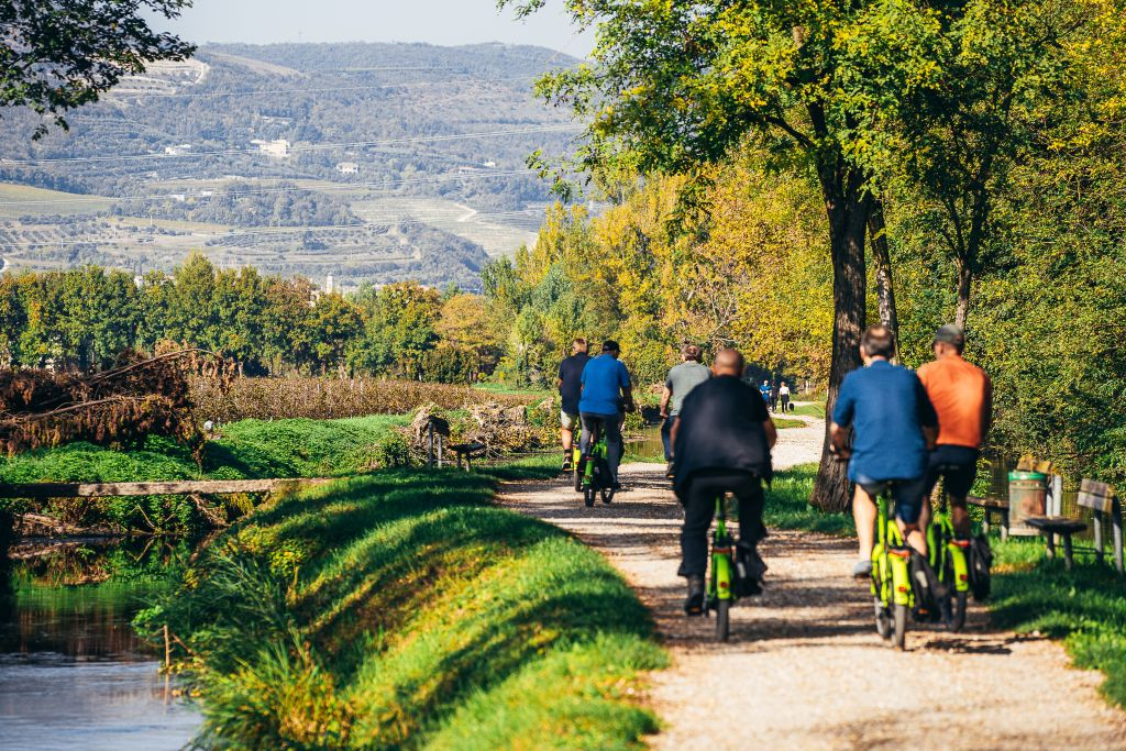 Tour in bicicletta del vino Amarone in Valpolicella