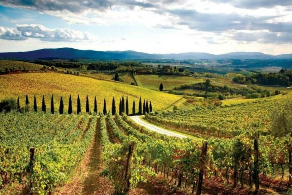 Chianti, Montalcino y San Gimignano: Cata de vinos + excursión de un día desde Siena