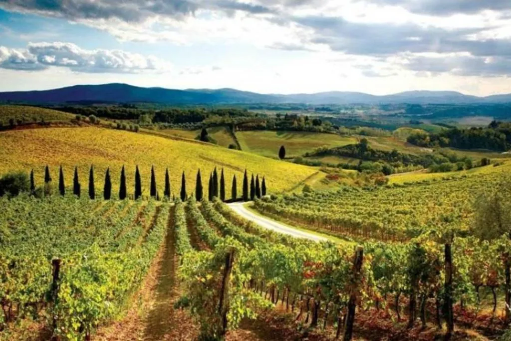 Chianti, Montalcino & San Gimignano: Wine Tasting + Day Trip from Siena
