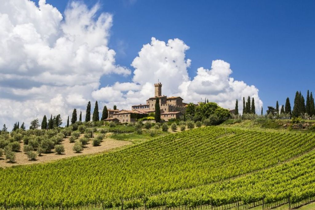 Chianti, Montalcino & San Gimignano: Wine Tasting + Day Trip from Siena