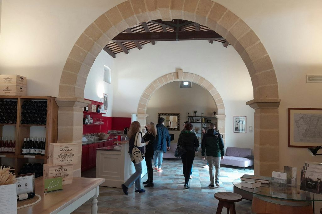 Desde Palermo: Excursión de un día a Erice + Comida siciliana + Degustación de granizados + Ruta de la Sal