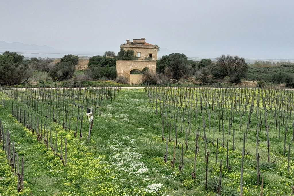 Desde Palermo: Excursión de un día a Erice + Comida siciliana + Degustación de granizados + Ruta de la Sal