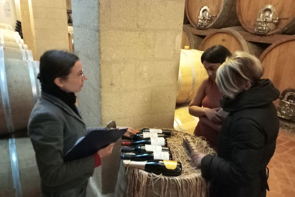 Desde Palermo: Excursión de un día a Erice + Comida siciliana + Degustación de granizados + Ruta de la Sal