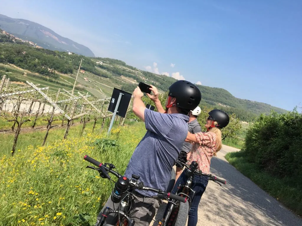 Vigneti della Valpolicella: Tour in e-bike con degustazione di vini