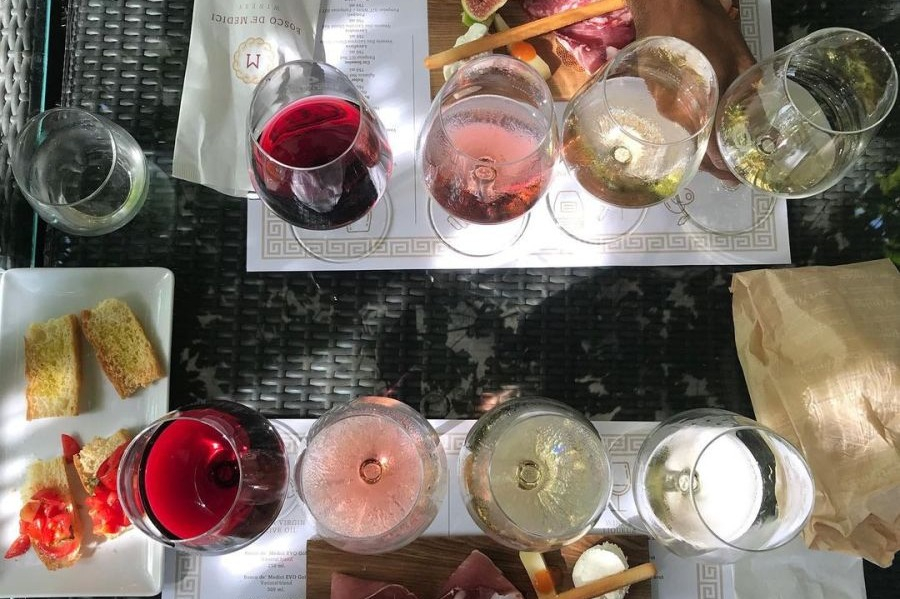 Pompeii Local Wine Tasting with Cellar Tour & Lunch