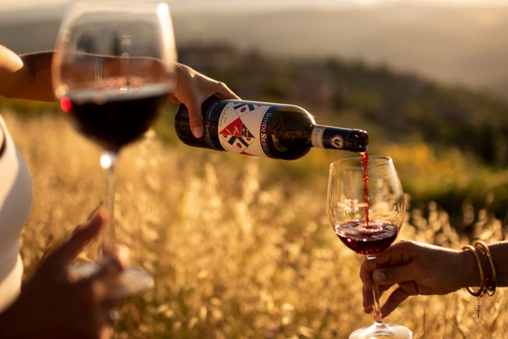 Siena: Classic Wine and Oil Tasting in Tuscany Vineyard