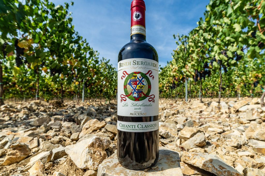 Siena: Classic Wine and Oil Tasting in Tuscany Vineyard