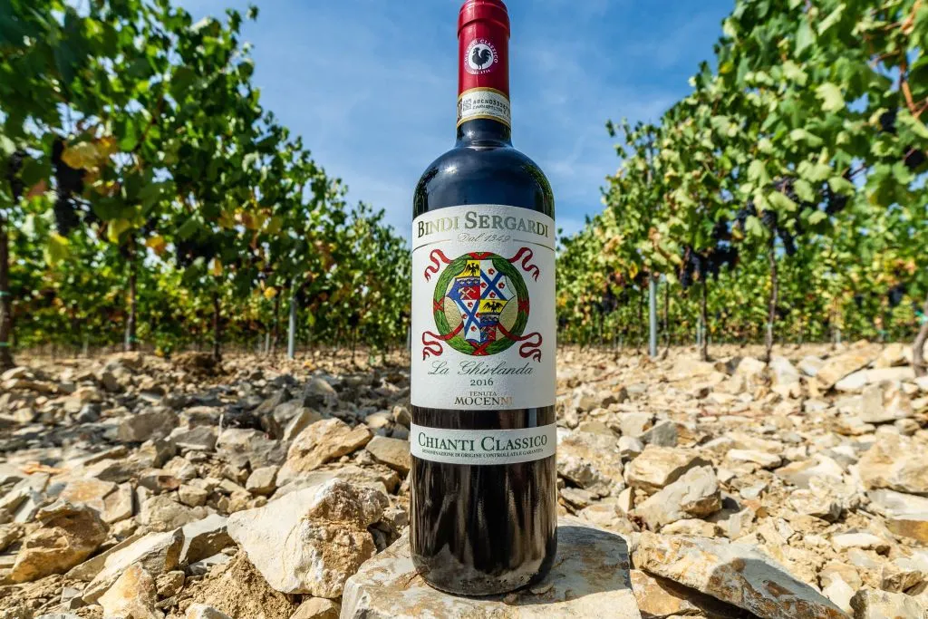 Siena: Classic Wine and Oil Tasting in Tuscany Vineyard