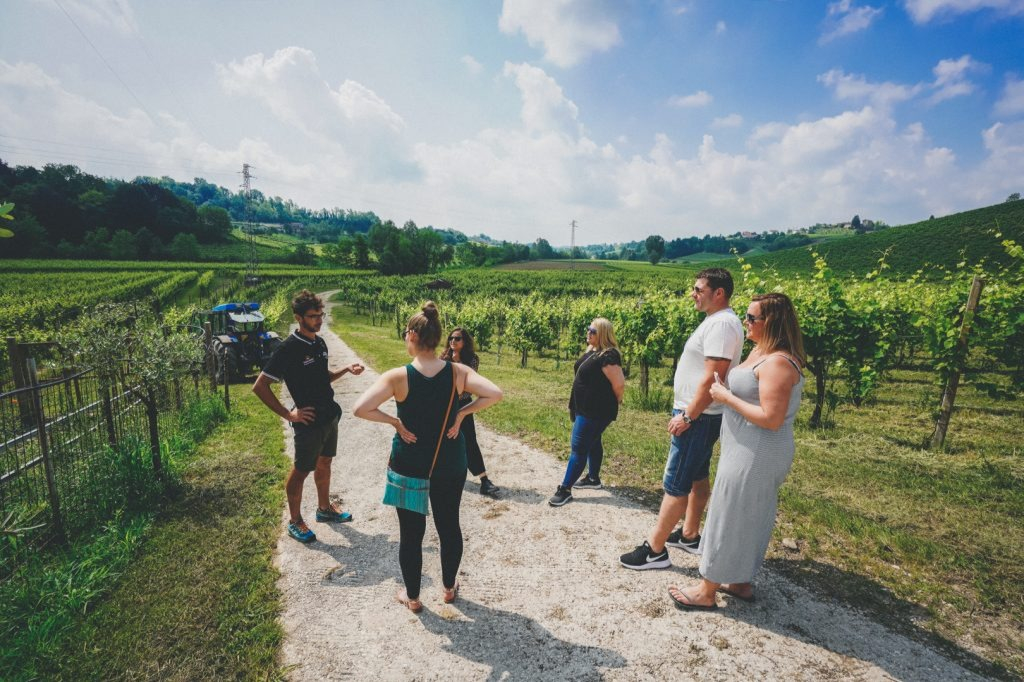 Verona: Prosecco Wine Tour from Venice