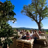 Chianti: Wine Estates Tour With Tastings + Afternoon Day Trip From Florence