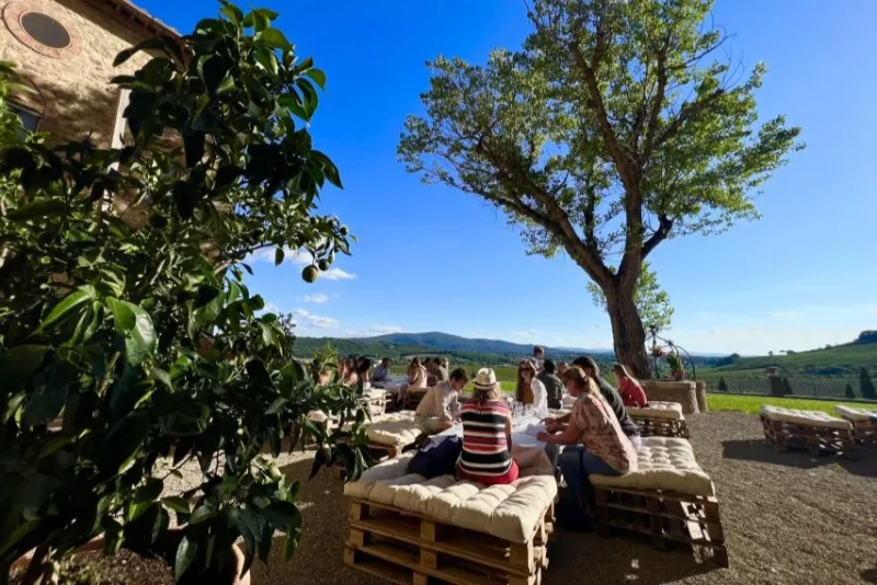 Chianti: Wine Estates Tour With Tastings + Afternoon Day Trip From Florence
