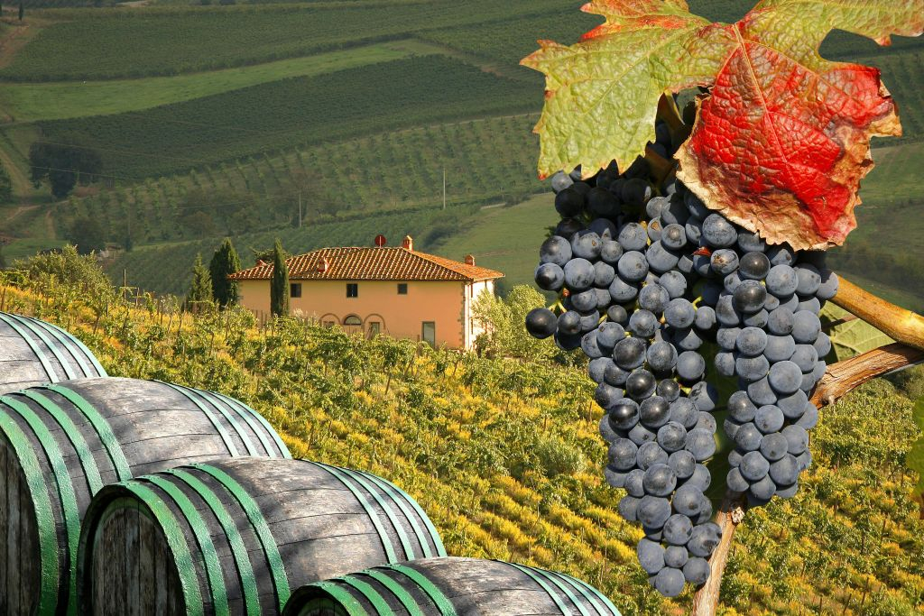 Chianti: Wine Estates Tour With Tastings + Afternoon Day Trip From Florence