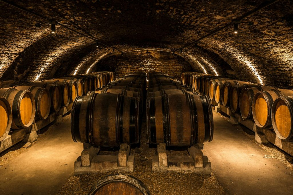 Chianti: Wine Estates Tour With Tastings + Afternoon Day Trip From Florence