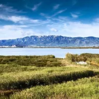 Savouring the Delta
