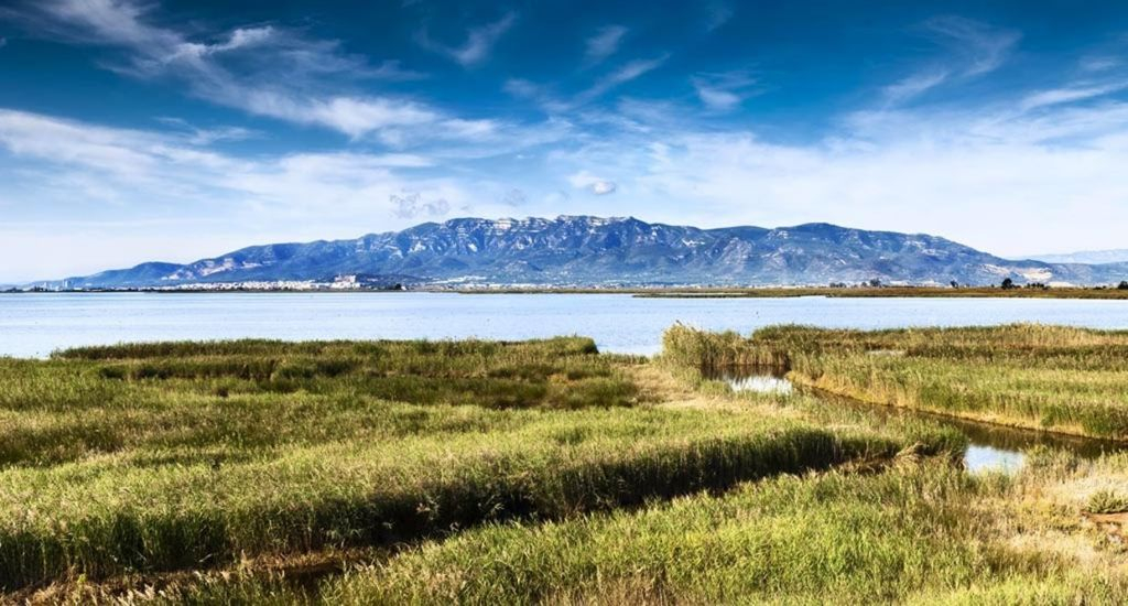 Saboreando el Delta de L'Ebre