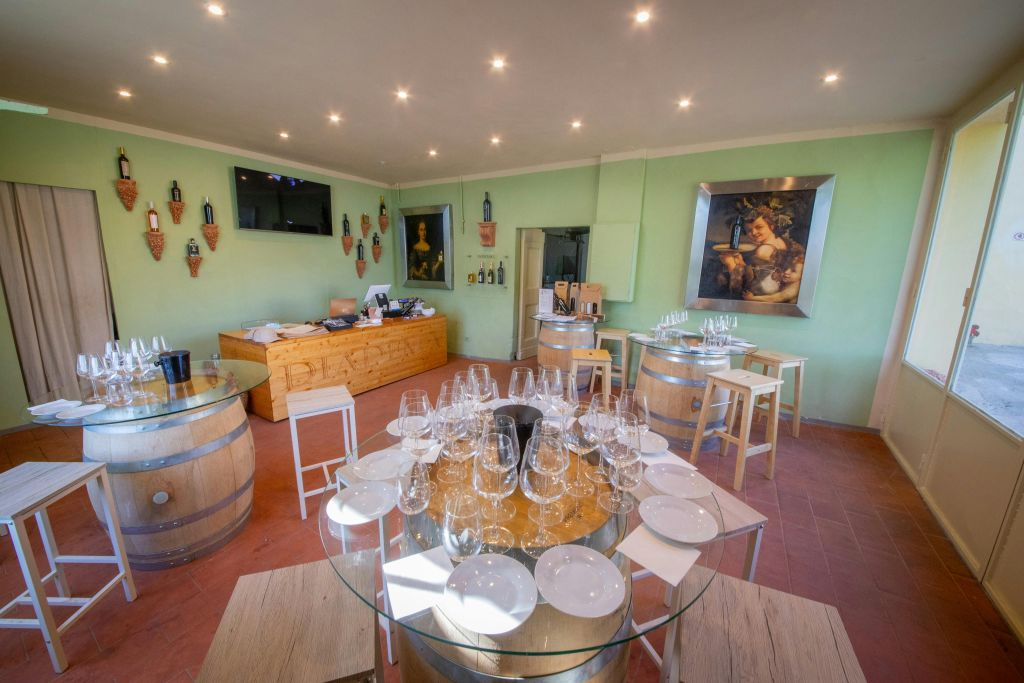 Chianti: Wine & Olive Oil Tasting with Guided Tour + Roundtrip from Florence