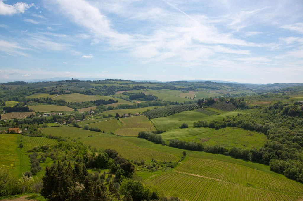 Chianti: Wine & Olive Oil Tasting with Guided Tour + Roundtrip from Florence