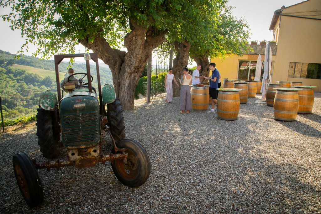 Chianti: Wine & Olive Oil Tasting with Guided Tour + Roundtrip from Florence
