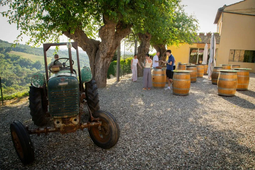 Chianti: Wine & Olive Oil Tasting with Guided Tour + Roundtrip from Florence