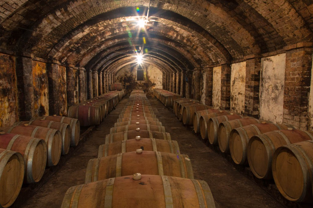 Chianti: Cata de vino y aceite de oliva con visita guiada + ida y vuelta desde Florencia