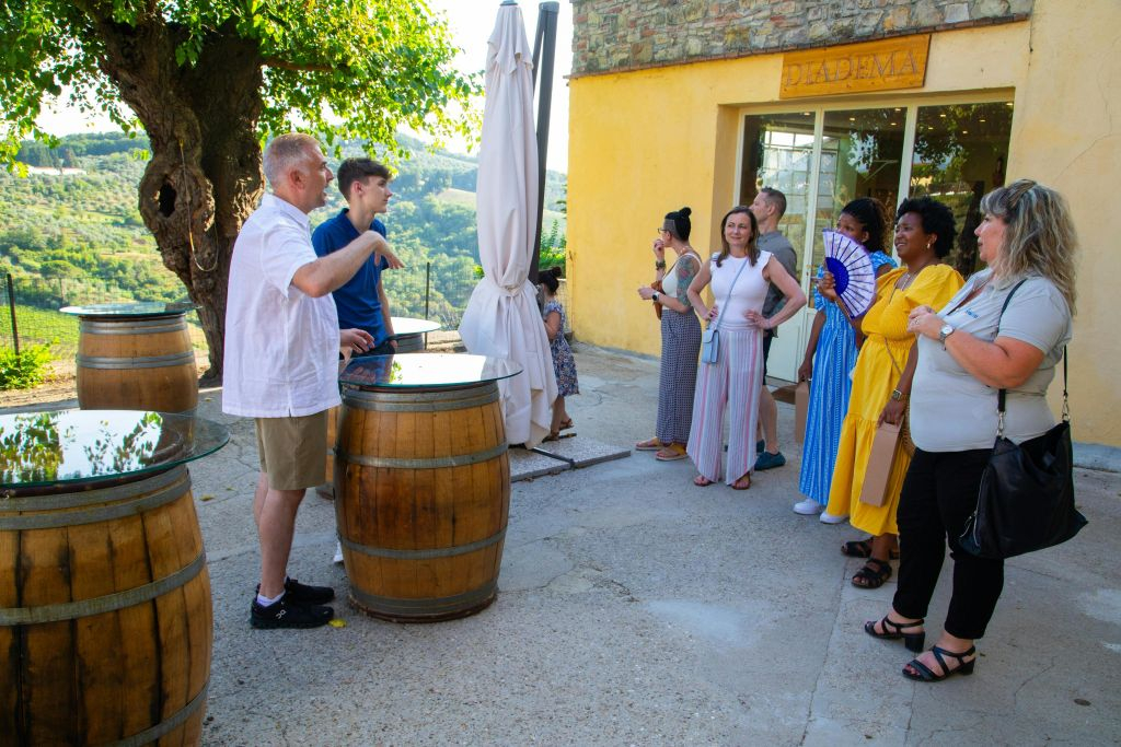 Chianti: Wine & Olive Oil Tasting with Guided Tour + Roundtrip from Florence
